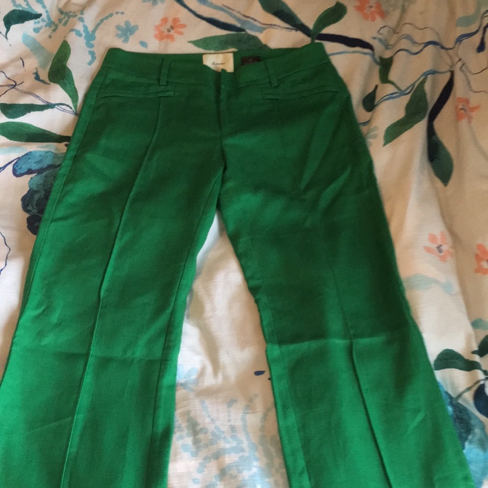 Anthro elevenses “the brighten” 6